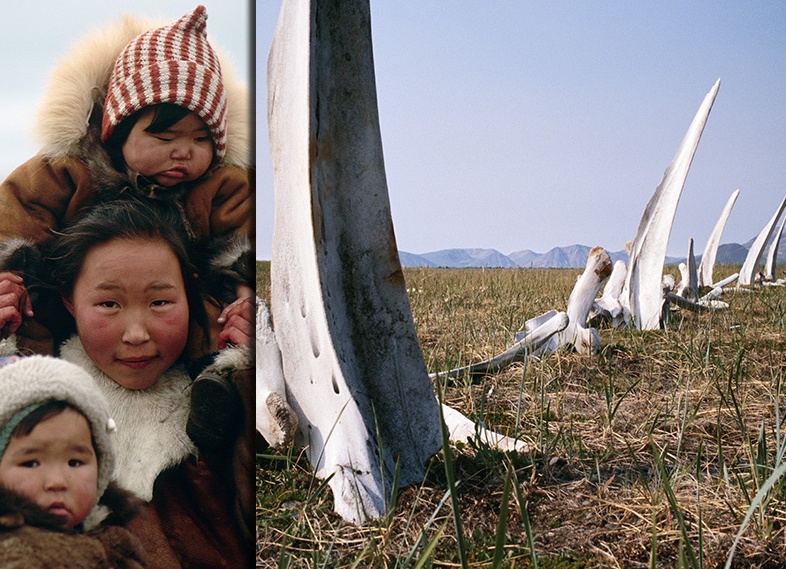 Китовая аллея все о древнем святилище Чукотки на самом краю мира