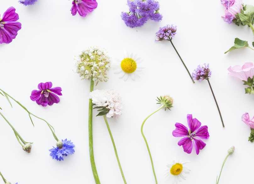 Цветочный гороскоп