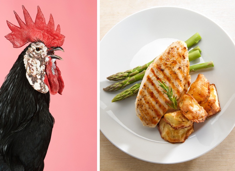 Куриная диета ешь ананасы крылышки жуй