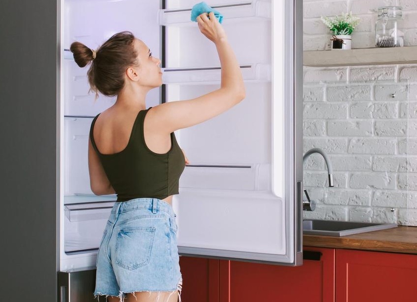 Как правильно мыть холодильник чтобы не возникло проблем со здоровьем пошаговая инструкция
